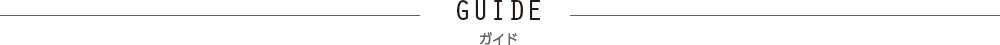 Guide